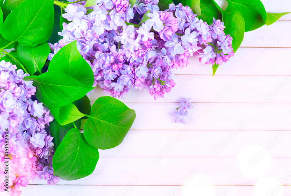 Lilac flowers bunch on white planks wood background