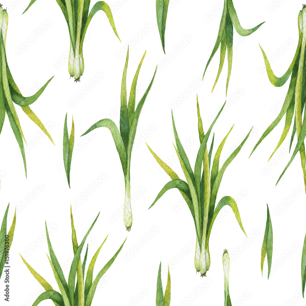 Hand drawn watercolor seamless pattern of Lemon grass.