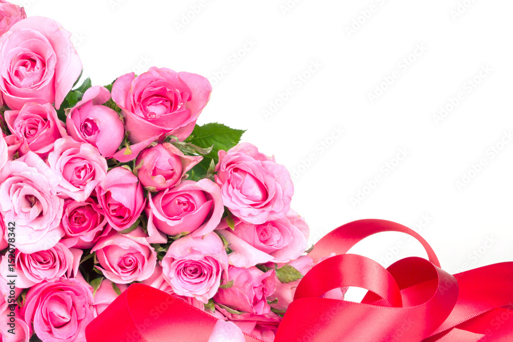 白色背景下的花束甜美的粉红色玫瑰花瓣，浪漫和爱情卡片概念