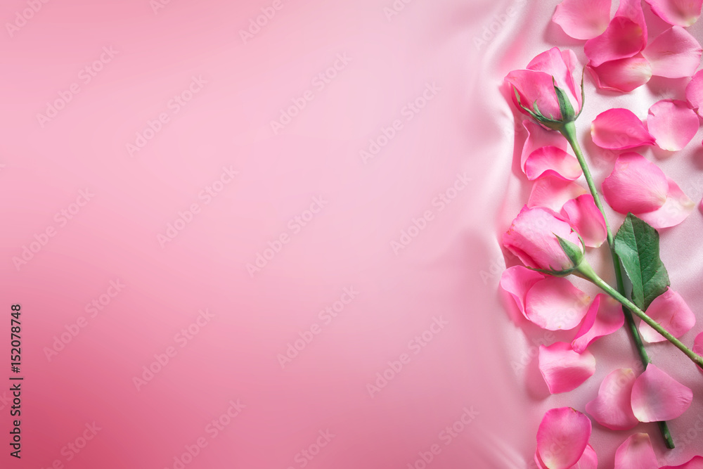 在柔软的粉色丝绸面料上绽放甜美的粉色玫瑰花瓣，浪漫和爱情卡片概念