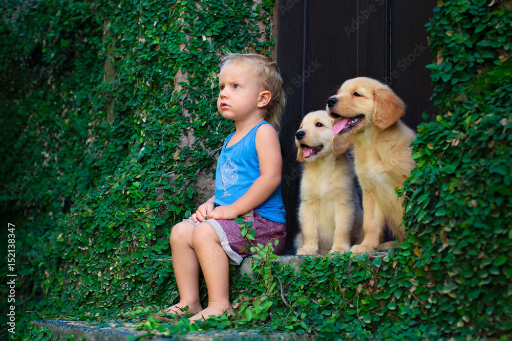 快乐的男婴和两只金色拉布拉多寻回犬小狗坐在一起玩耍的有趣照片。Fam