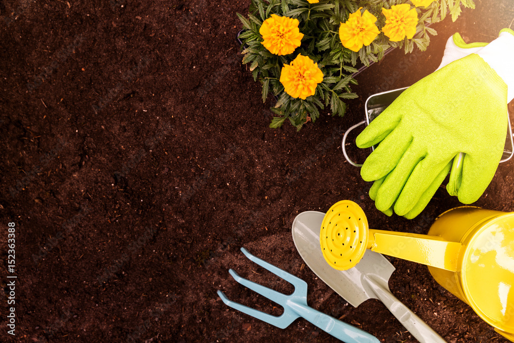gardening tools and marigold flowers on soil background with copy space