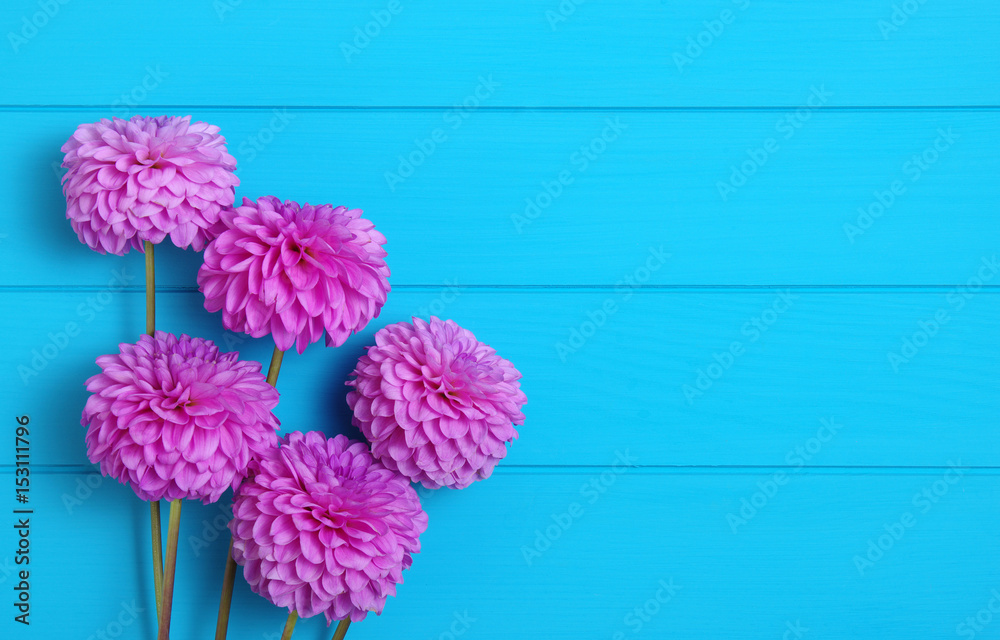 蓝色木板上的花朵。