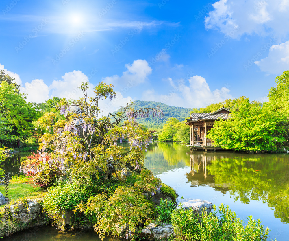 美丽的杭州西湖夏日花园，中国