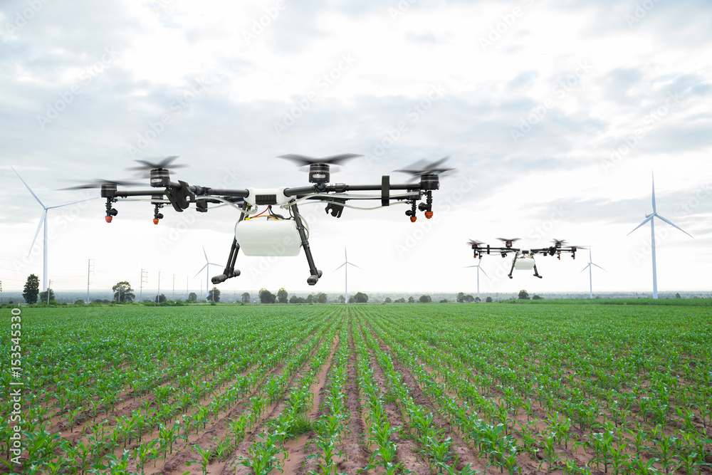 农业无人机在绿色玉米地上飞行