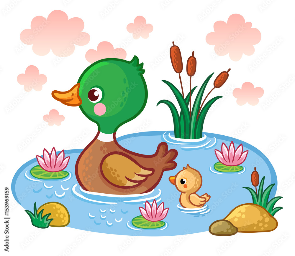 一只鸭子和小鸭子漂浮在湖面上。鸟类的矢量插图。孩子们的照片