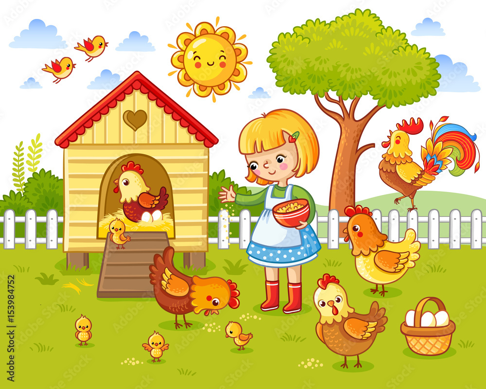 A little girl feeds chickens and hens around the chicken coop. Vector illustration in children`s sty