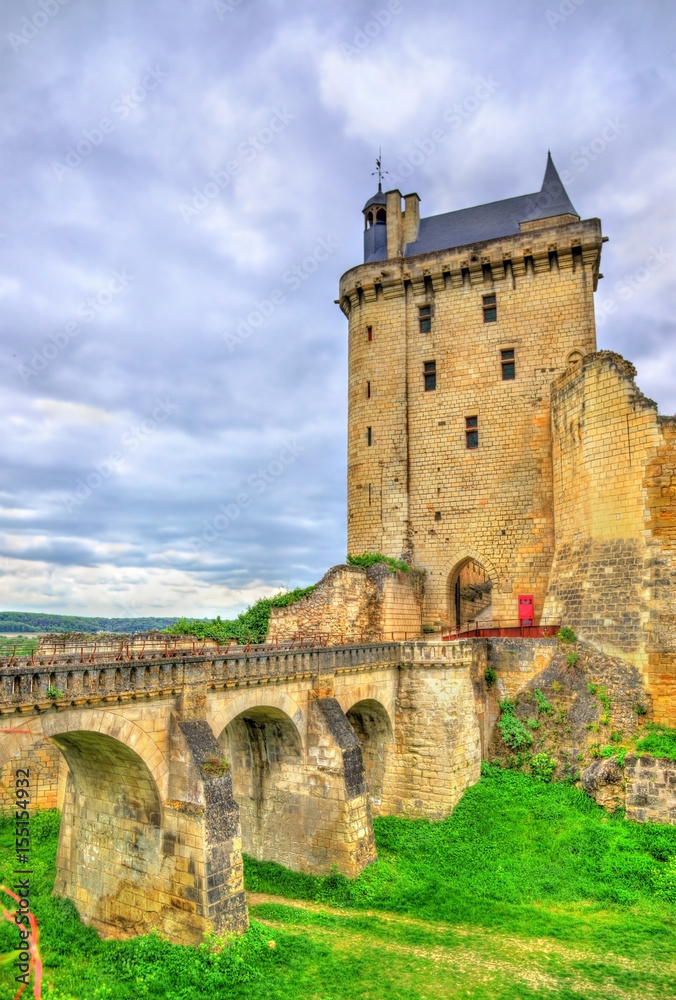 法国卢瓦尔河谷奇农城堡