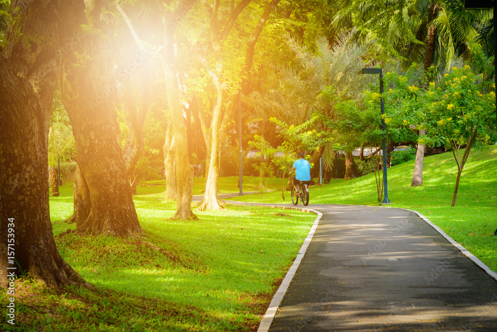 阳光明媚的日子里，公园里的自行车柏油路。