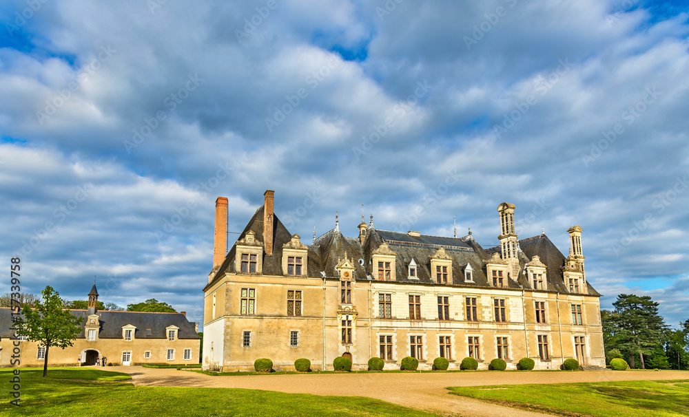 Chateau de Beauregard, one of the Loire Valley castles in France