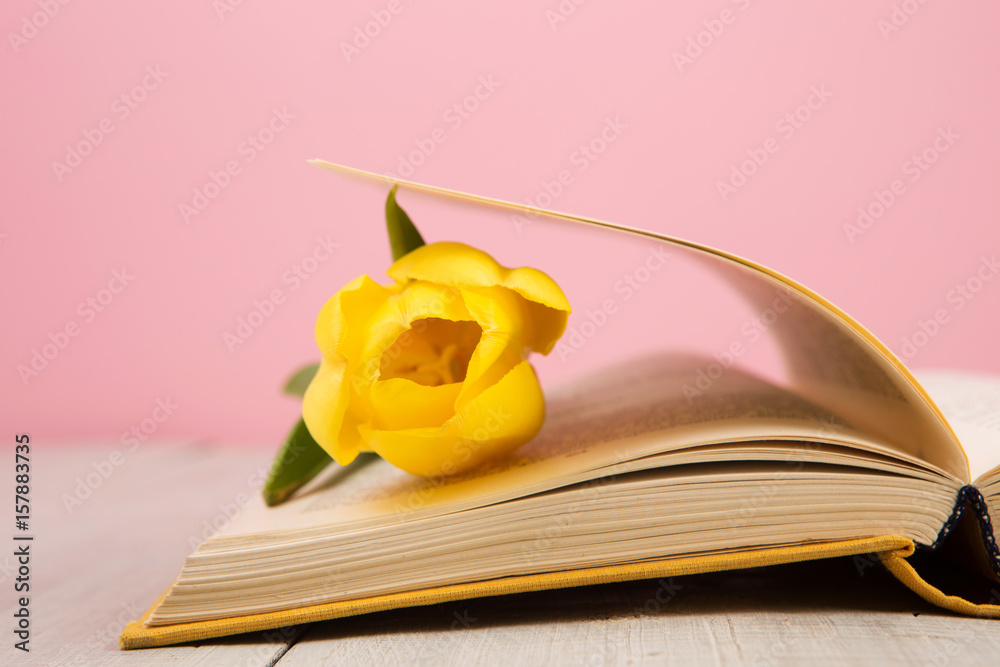 教育与阅读理念——带花叶子的开卷