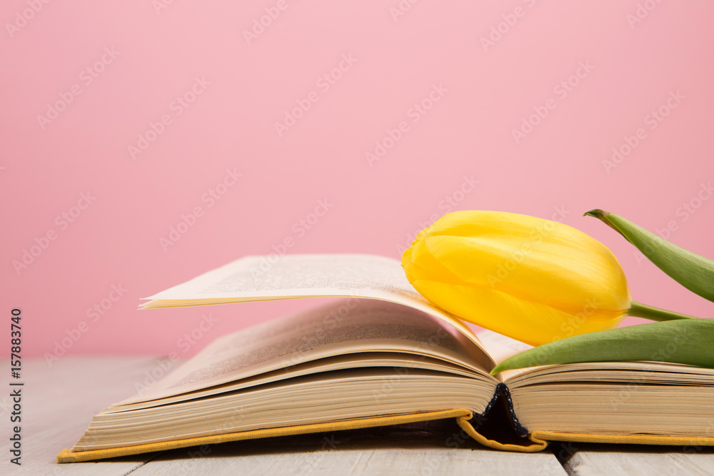education and reading concept - open book with flower leafs