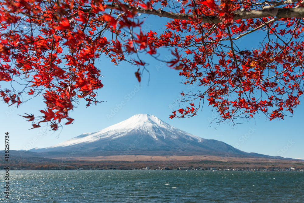 日本山中湖的富士山和红色枫叶。