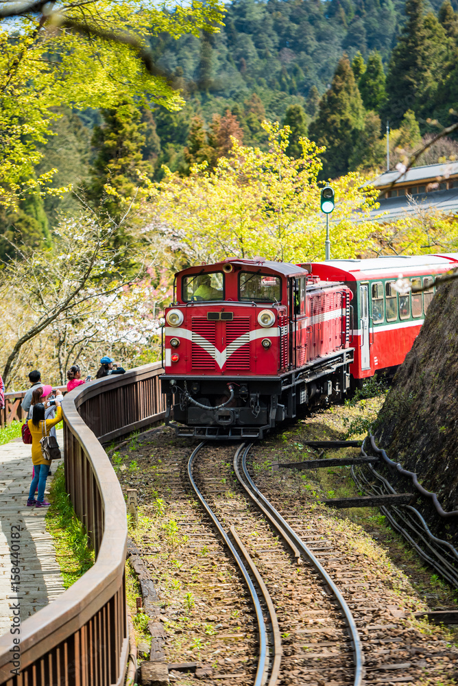 春季阿里山国家风景区的阿里山森林火车图片