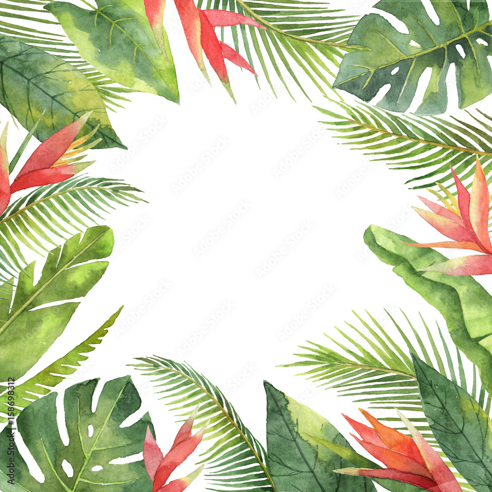 热带花卉和树叶的水彩框架，孤立在白色背景上。
