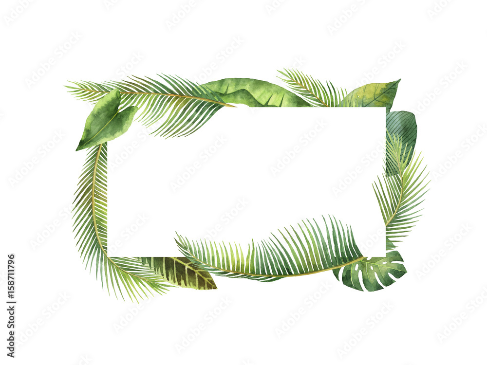 水彩矩形框架热带树叶和树枝被隔离在白色背景上。