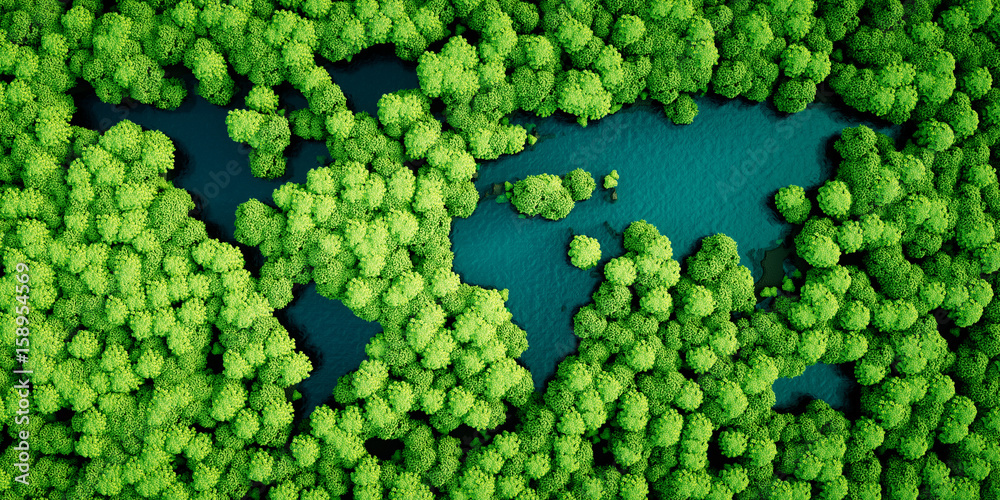 世界大陆形状的雨林湖泊。环境友好的可持续发展
