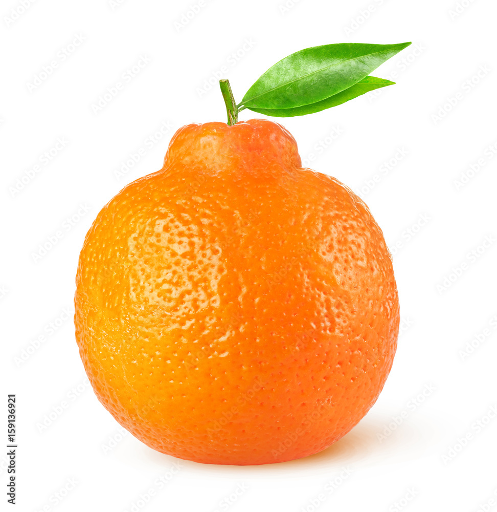 分离的柑橘类水果。一种在白色背景上分离的叶子的薄荷糖，带有修剪p