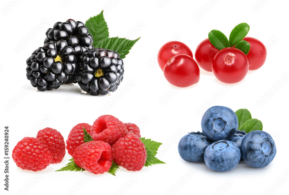 一套美丽的水果（黑莓、蔓越莓、覆盆子、蓝莓）