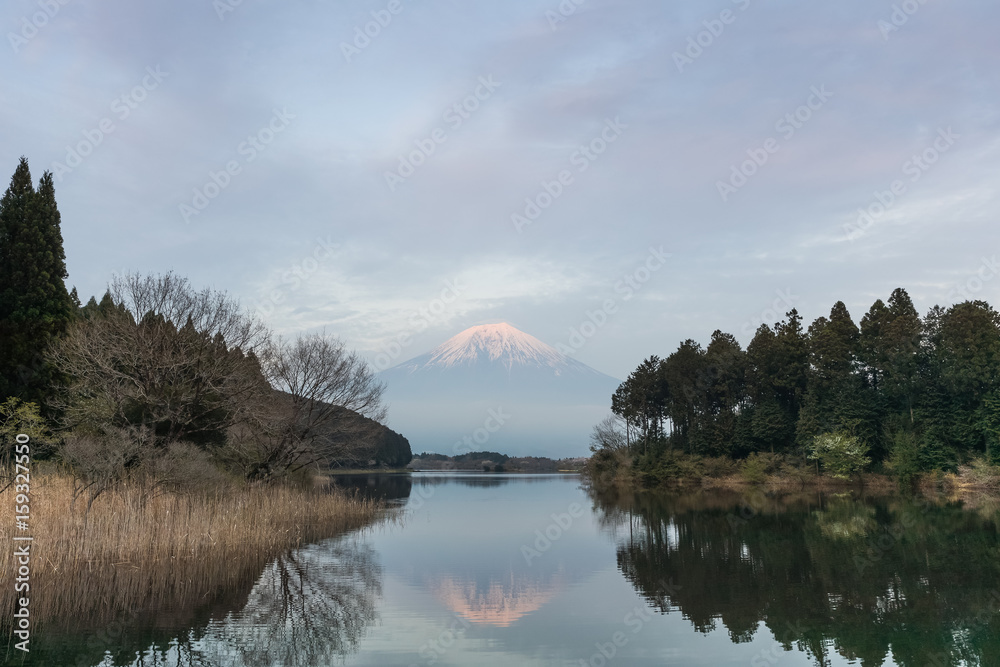 春天傍晚的富士山和谷木湖