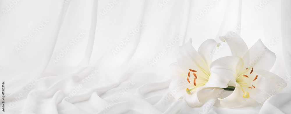 丝绸窗帘上的百合花