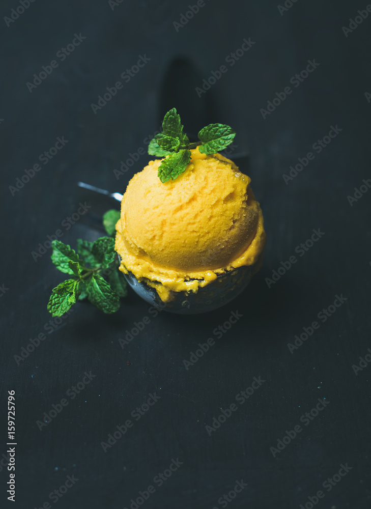 Mango sorbet ice cream scoop in ice cream scooper over black wooden background, copy space. Clean ea