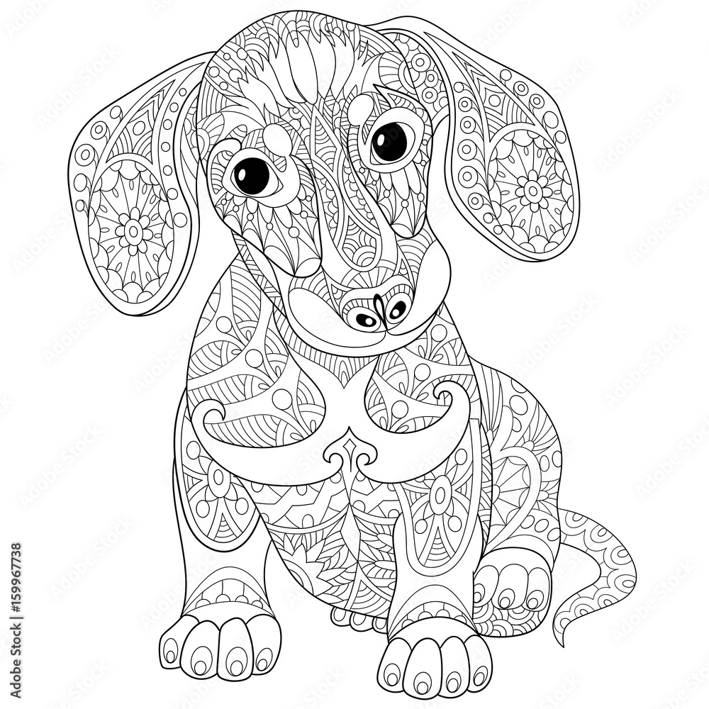 达克斯猎犬幼犬的彩色书页，隔离在白色背景上。徒手素描