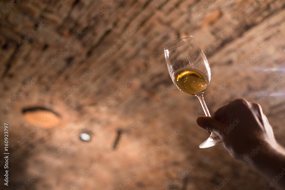 侍酒师在老酒窖欣赏葡萄酒的颜色