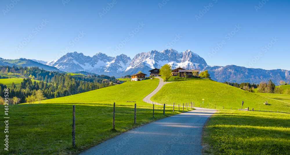 Idyllic alpine scenery, farmhouse in front of snowy mountains, Kitzbühel, Tyrol, Austria