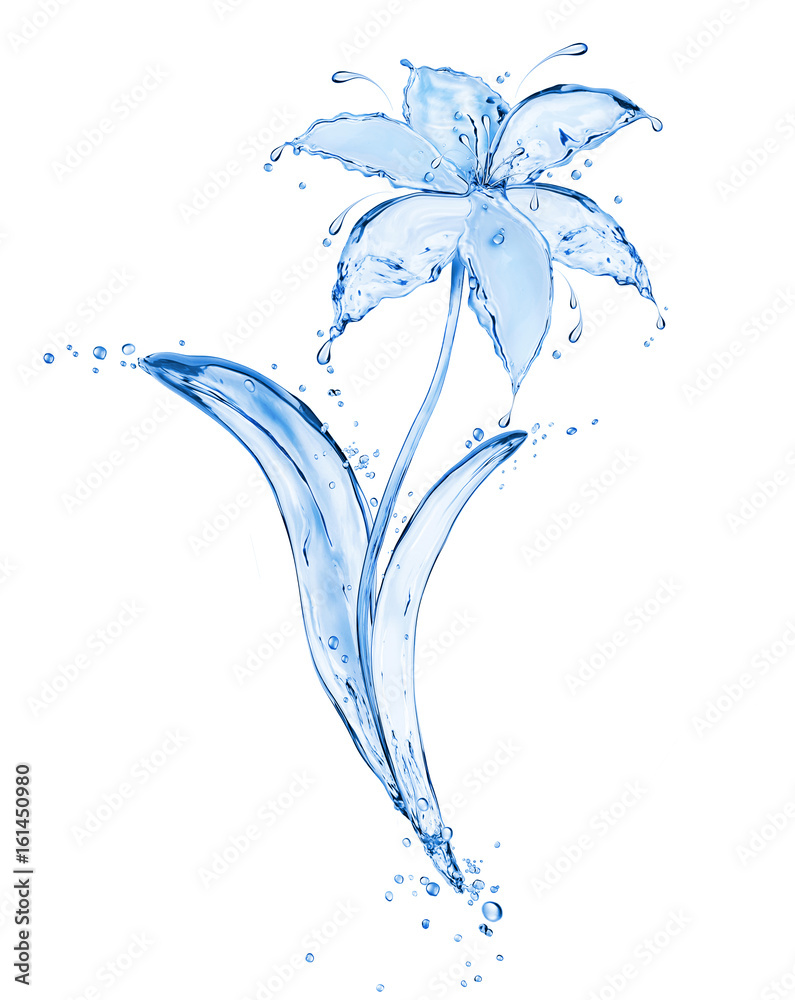 由淡水制成的蓝色花朵在白色背景上飞溅