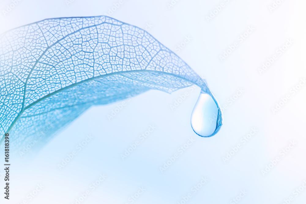 浅蓝色背景特写微距上透明叶子上美丽的一滴纯水
1029758342,德国斯图加特电视广播塔