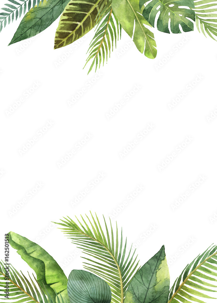 水彩矩形框架热带树叶和树枝在白色背景上隔离。