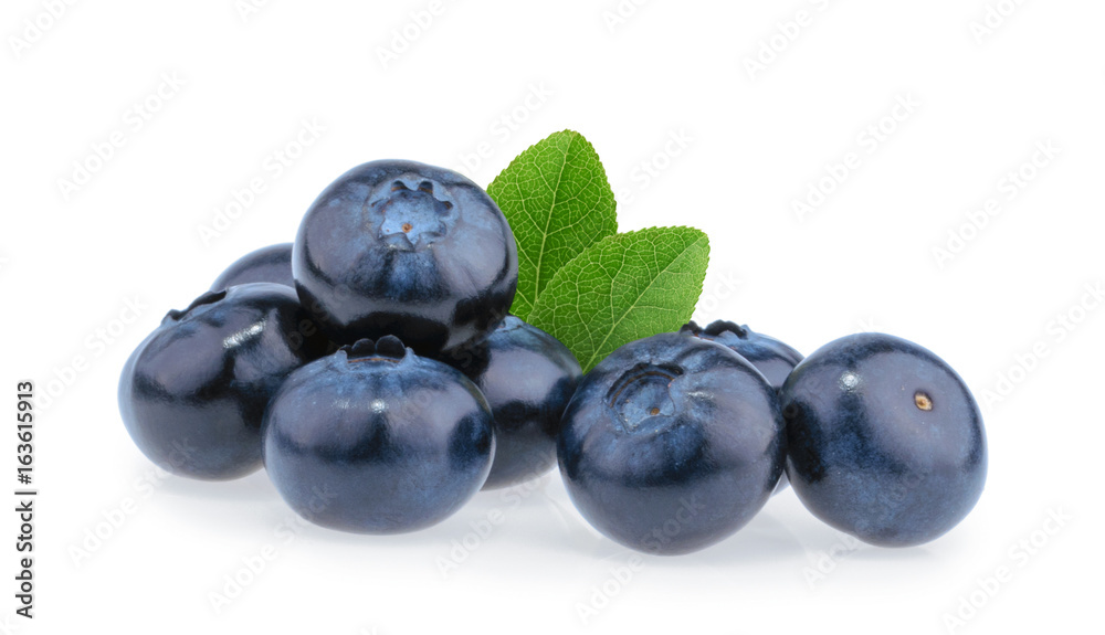 在白色背景下分离的蓝莓
