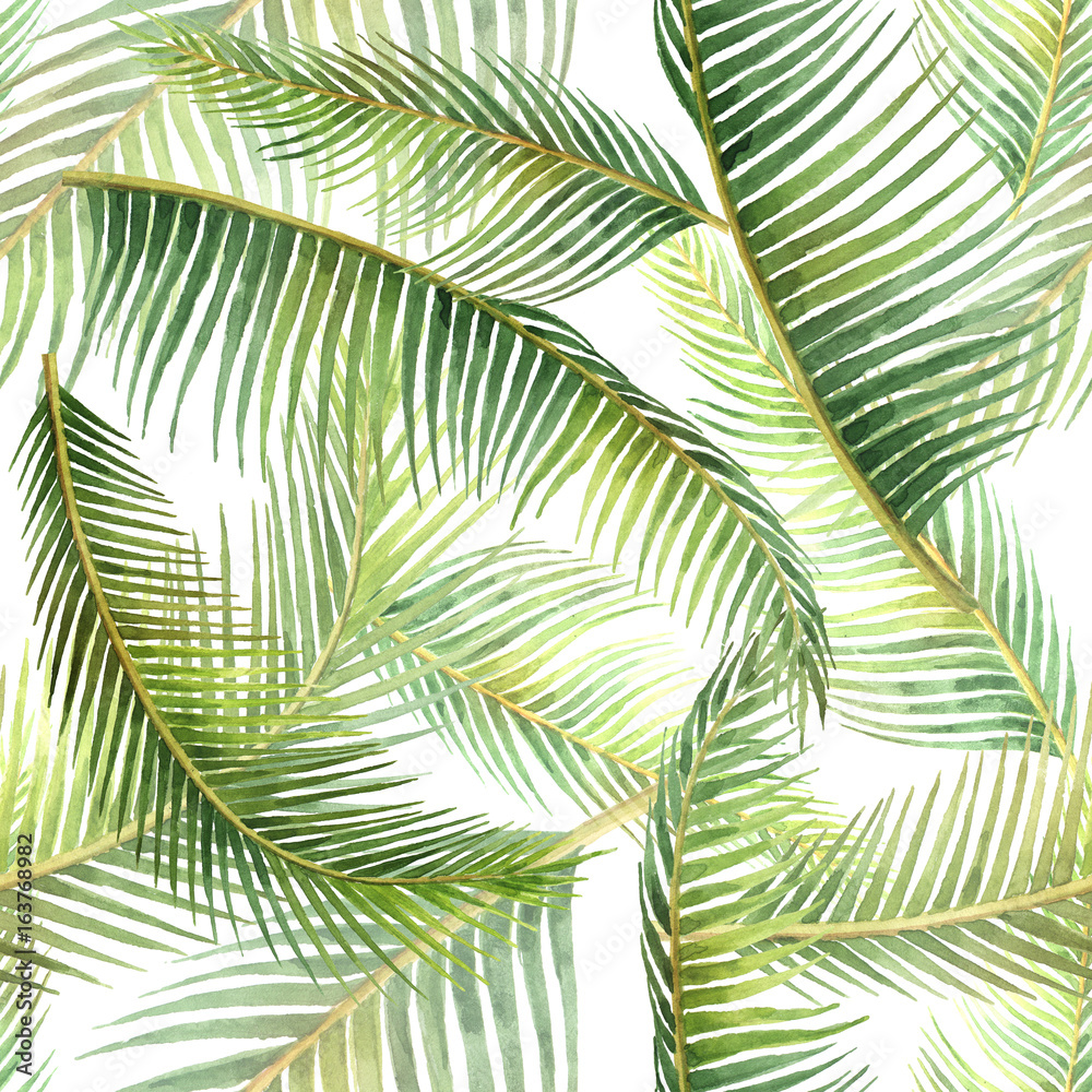 水彩画无缝图案，热带树叶孤立在白色背景上。