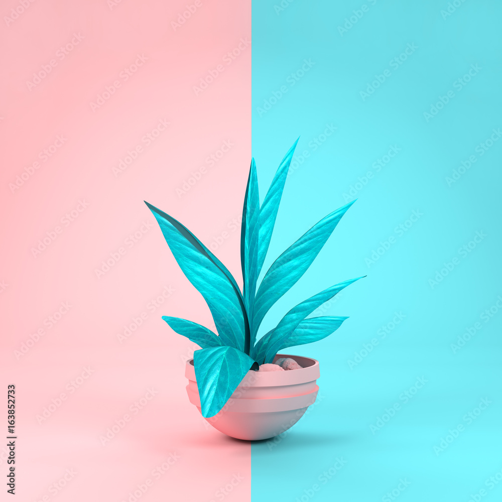柔和的粉红色和青色室内植物，与背景颜色相匹配。3D插图。