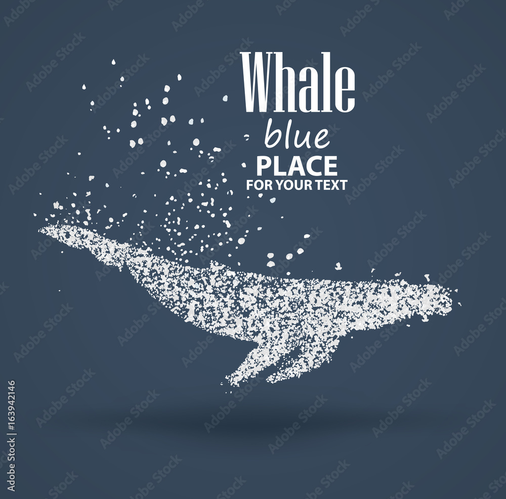 蓝鲸，粒子发散成分，在背景上分离