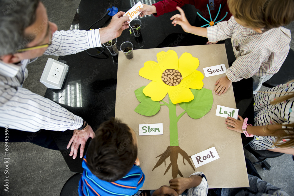 教师在科学课上向不同群体的幼儿园学生教授花卉结构