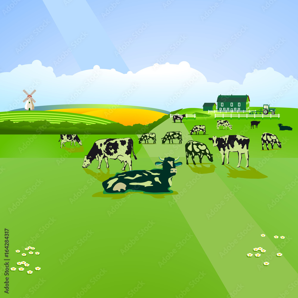 Rinder auf der Weide, Illustration 