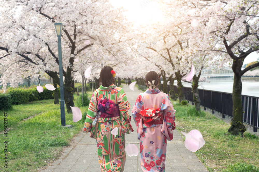 Couple asian women wearing traditional japanese kimono in sakura garden in Osaka, Japan.