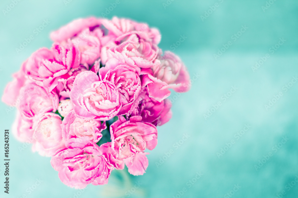 石板背景上的鲜粉色康乃馨花