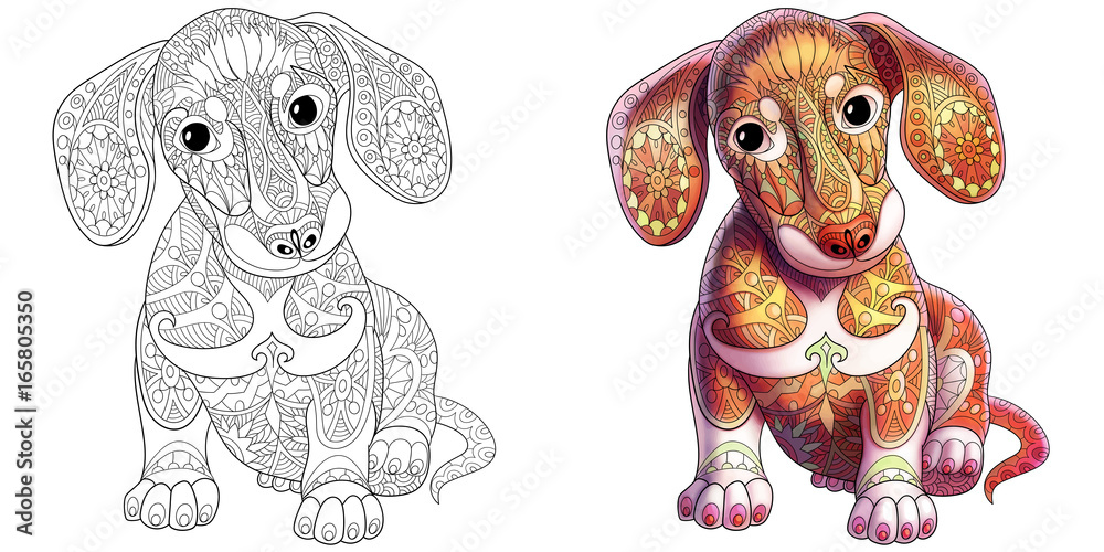 腊肠犬幼犬涂色书页。单色和彩色样品。手绘草图f