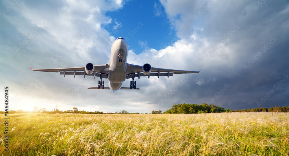 Airplane. Landscape with big white passenger airplane is flying in the blue sky over yellow grass fi