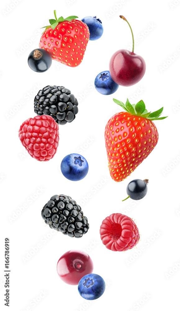 孤立的浆果。掉落的蓝莓、黑莓、覆盆子、草莓、黑加仑子和樱桃fr