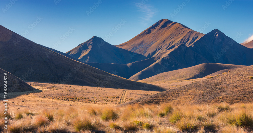 新西兰南岛林迪斯山口的金色田野、山脉和蓝天