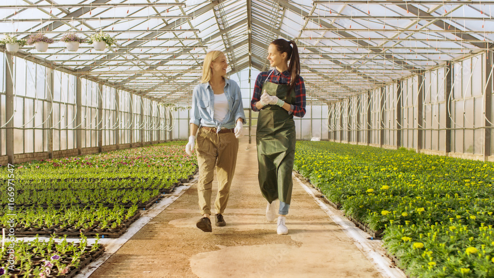 两位快乐的工业温室工人走过一排排五颜六色的鲜花和绿色的蔬菜。