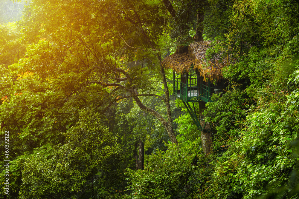 Treehouse for nature retreat amidst abundant trees in Laos.
