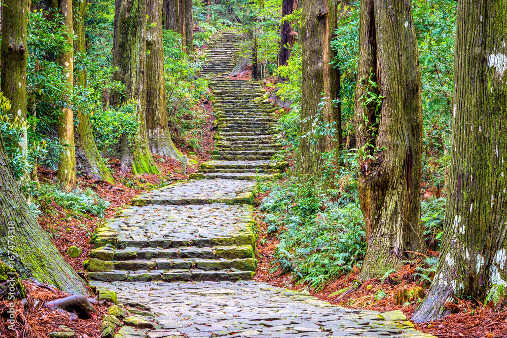 熊野小路，日本和歌山那池的一条神圣小路。