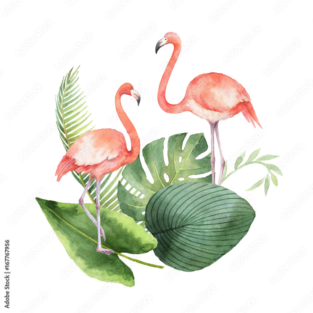 热带树叶和粉红色火烈鸟的水彩卡片，孤立在白色背景上。