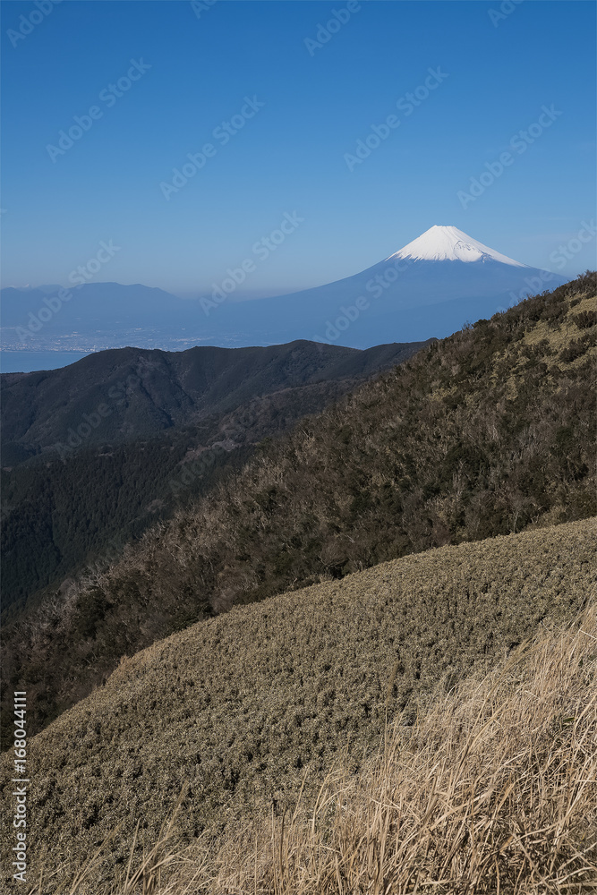 静冈县冬季的富士山和骏河湾。从伊豆县的大流山看