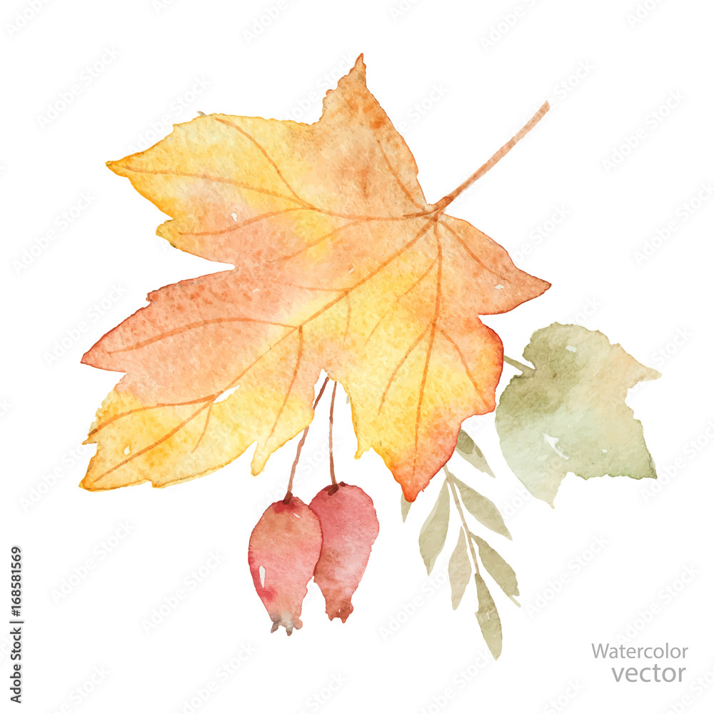 Watercolor vector autumn bouquet of leaves, branches and dogrose berries isolated on white backgroun